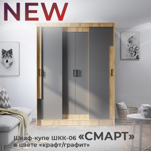 Новинка: шкаф-купе "Смарт" ШКК-06 крафт/графит