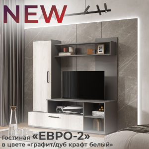 Новинка: гостиная "Евро-2" графит/дуб крафт белый
