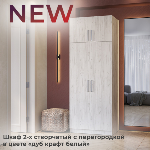 Шкаф 2-х створчатый с перегородкой в цвете "дуб крафт белый"