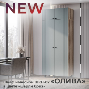 Новинка: шкаф навесной "Олива" ШКН-02 в цвете "шарли бриз"