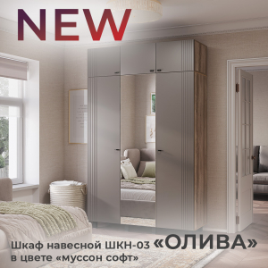 Новинка: шкаф навесной "Олива" ШКН-03 в цвете "муссон софт"