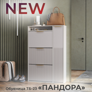 Новинка: обувница "Пандора" ТБ-23