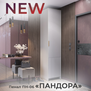 Новинка: пенал "Пандора" ПН-06 