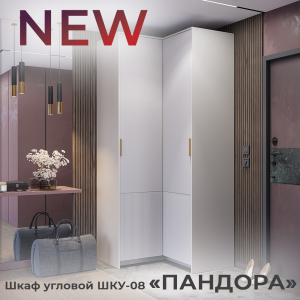 Новинка: шкаф угловой "Пандора" ШКУ-08