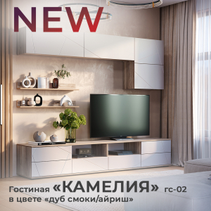 Новинка: гостиная "Камелия" ГС-02 дуб смоки/айриш
