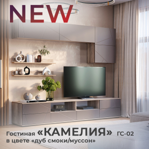 Новинка: гостиная "Камелия" ГС-02 дуб смоки/муссон