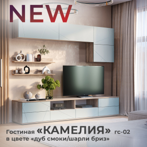 Новинка: гостиная "Камелия" ГС-02 дуб смоки/шарли бриз
