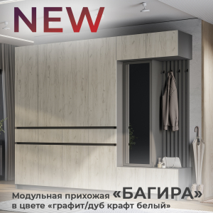 Новинка: модульная прихожая "Багира" в цвете "графит/дуб крафт белый"