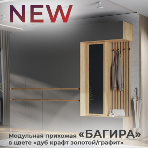 Новинка: модульная прихожая "Багира" в цвете "дуб крафт золотой/графит"